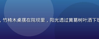 成都老社区里一家无招牌豆花店，竹椅木桌摆在院坝里，阳光透过黄葛树叶洒下斑驳光影，旮旯小站市井美食探访